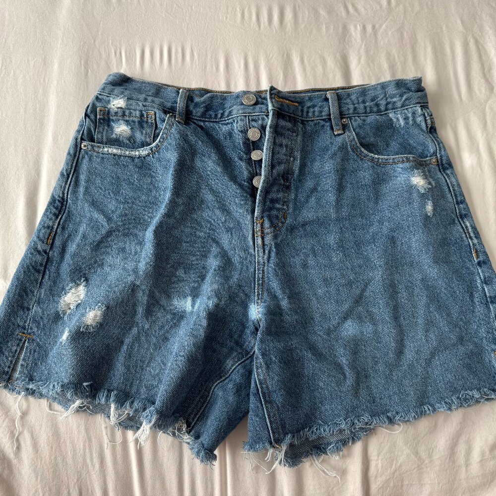 PacSun Shorts